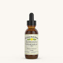 Echinacea Goldenseal Tincture
